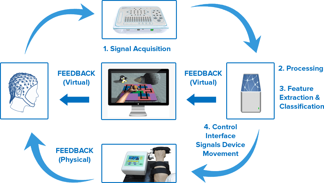 bci-principle-process