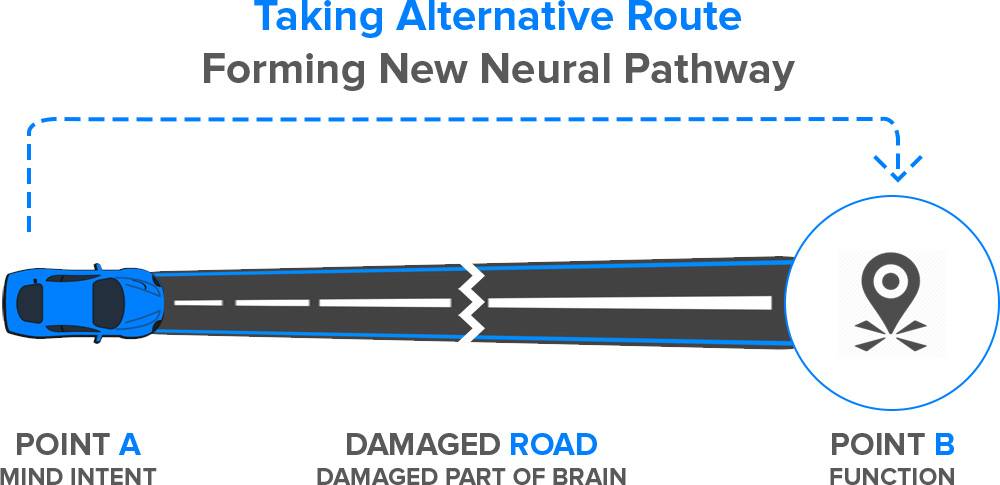 ruta alternativa de neuroplasticidad