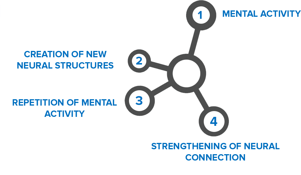 neuroplasticity-mental-activity