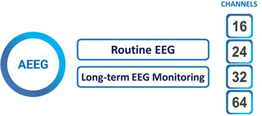 EEG System